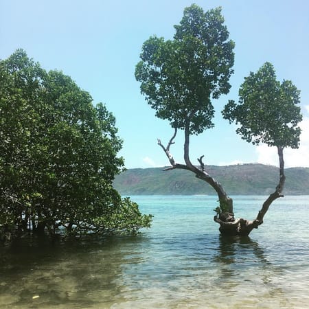 7 reasons to visit Lombok: photo 1