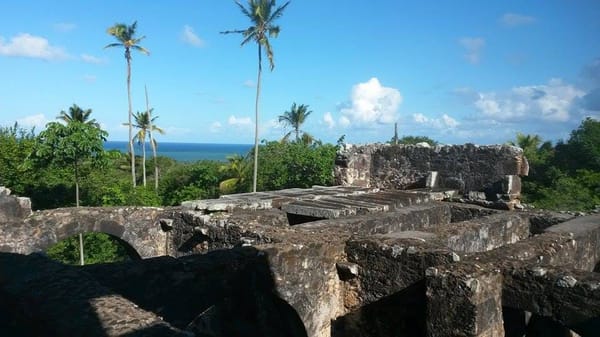 A practical guide to visiting Praia do Forte, Bahia: photo 5