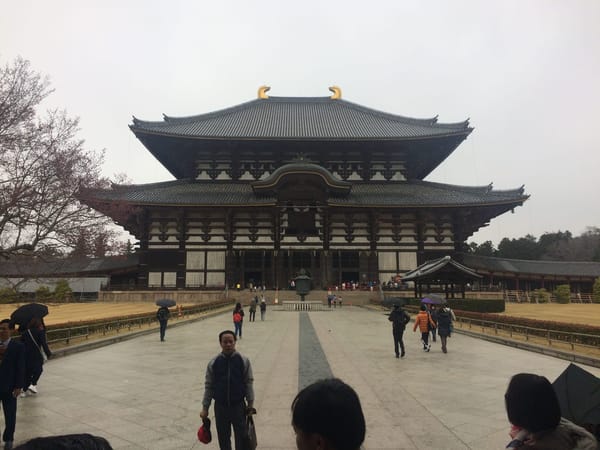 Japan's Nara Park: Deer-Central: photo 1