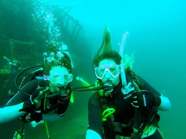 Top things to do on the Sunshine Coast for the Thrill Seeker: photo 9
