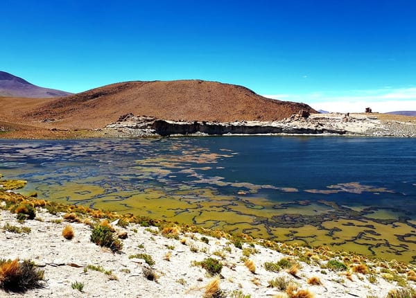 The Gem of the Andes: Eduardo Abaroa National Reserve, Bolivia: photo 7