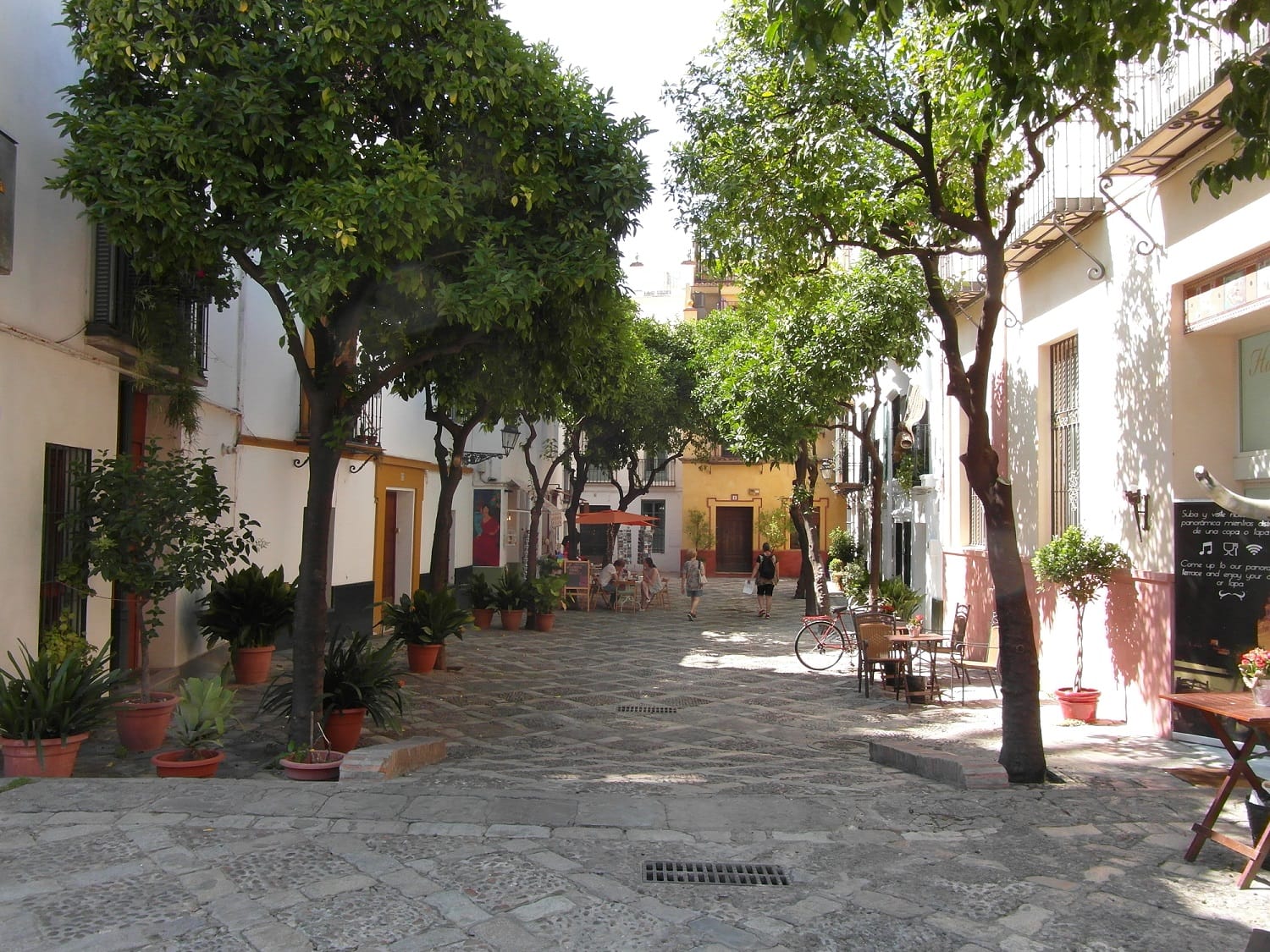 The best of all in Sevilla!