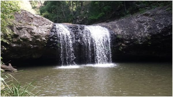 Hidden Waterfalls in Beechmont, Queensland: photo 6