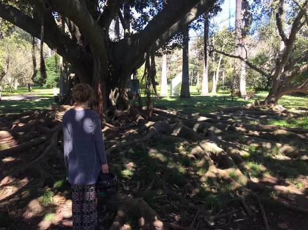 The perfect day in Belém: photo 4