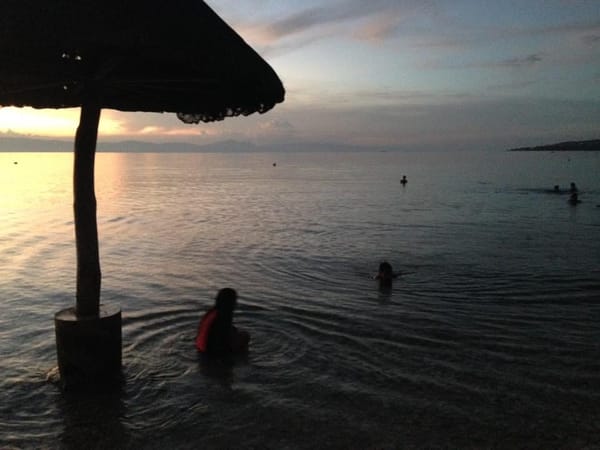 La Playa de Asuncion Badian Cebu: Swim Dive Relax: photo 1