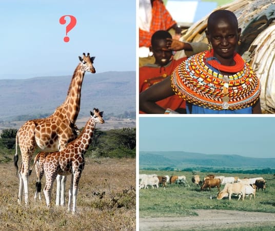 The Perfect Weekend in Nairobi: photo 1