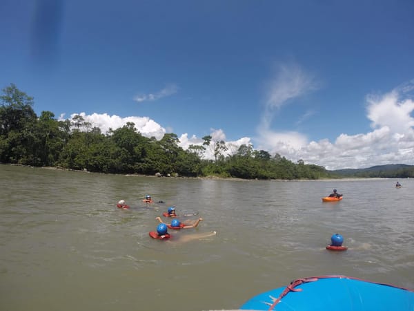 Tena, Ecuador: Experience Life in the Amazon: photo 1