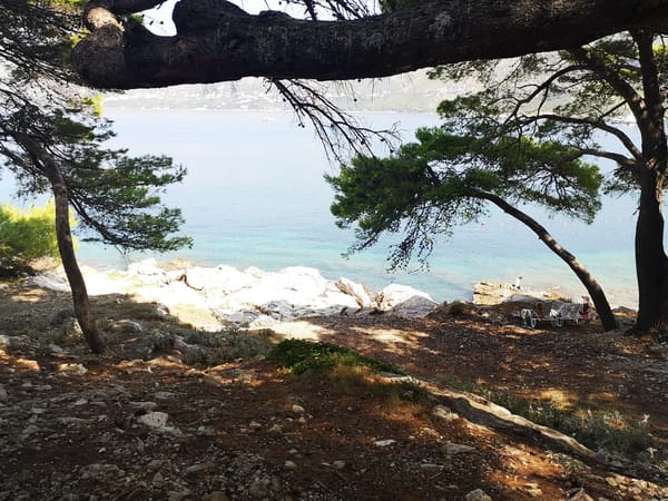 Vacation on the Dalmatian Sea: photo 17
