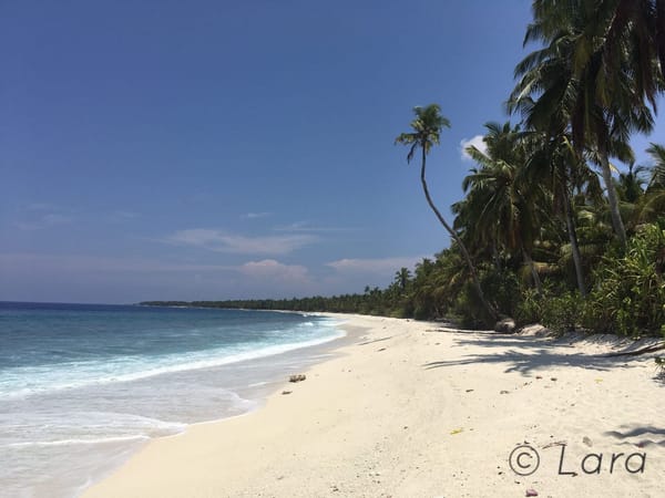 A beginner’s guide to budget travelling in Maldives: photo 2