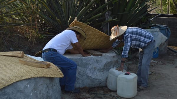 Zapotitlán; the magical drink experience: photo 2