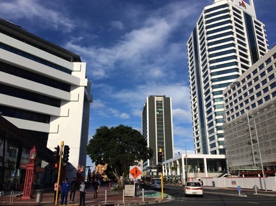 Live a year in New Zealand: photo 3