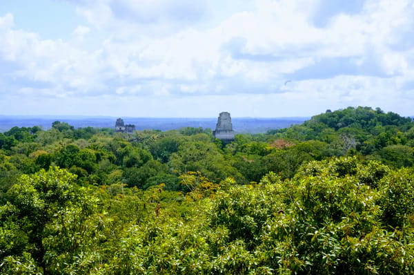 Best Mayan Routes Tips & Tricks: photo 1