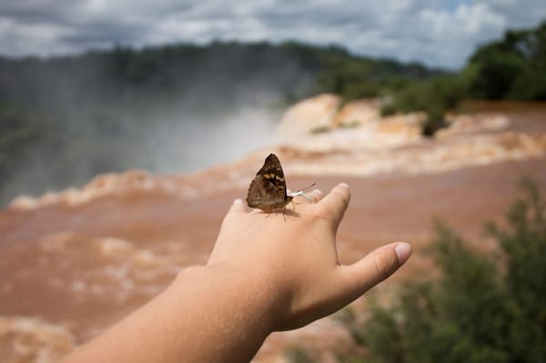 Best Places to Visit in South America: photo 6