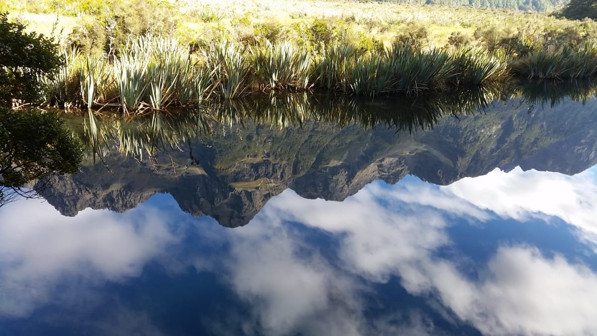 Love Affair with the Milford Sound
