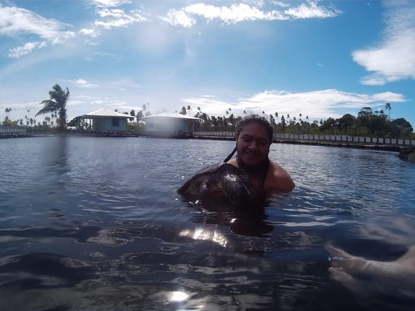 Samoa for backpackers: photo 16