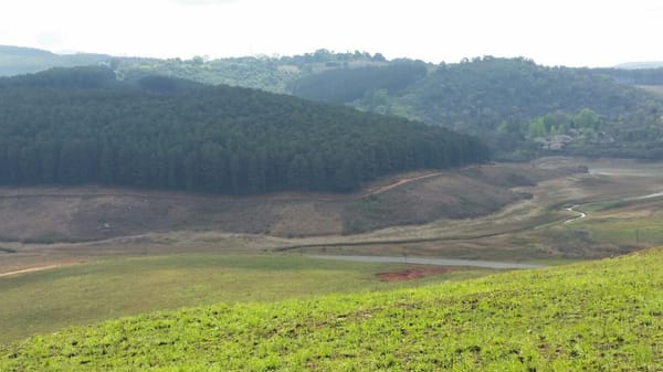 South Africa's hidden Haenertsburg: photo 4