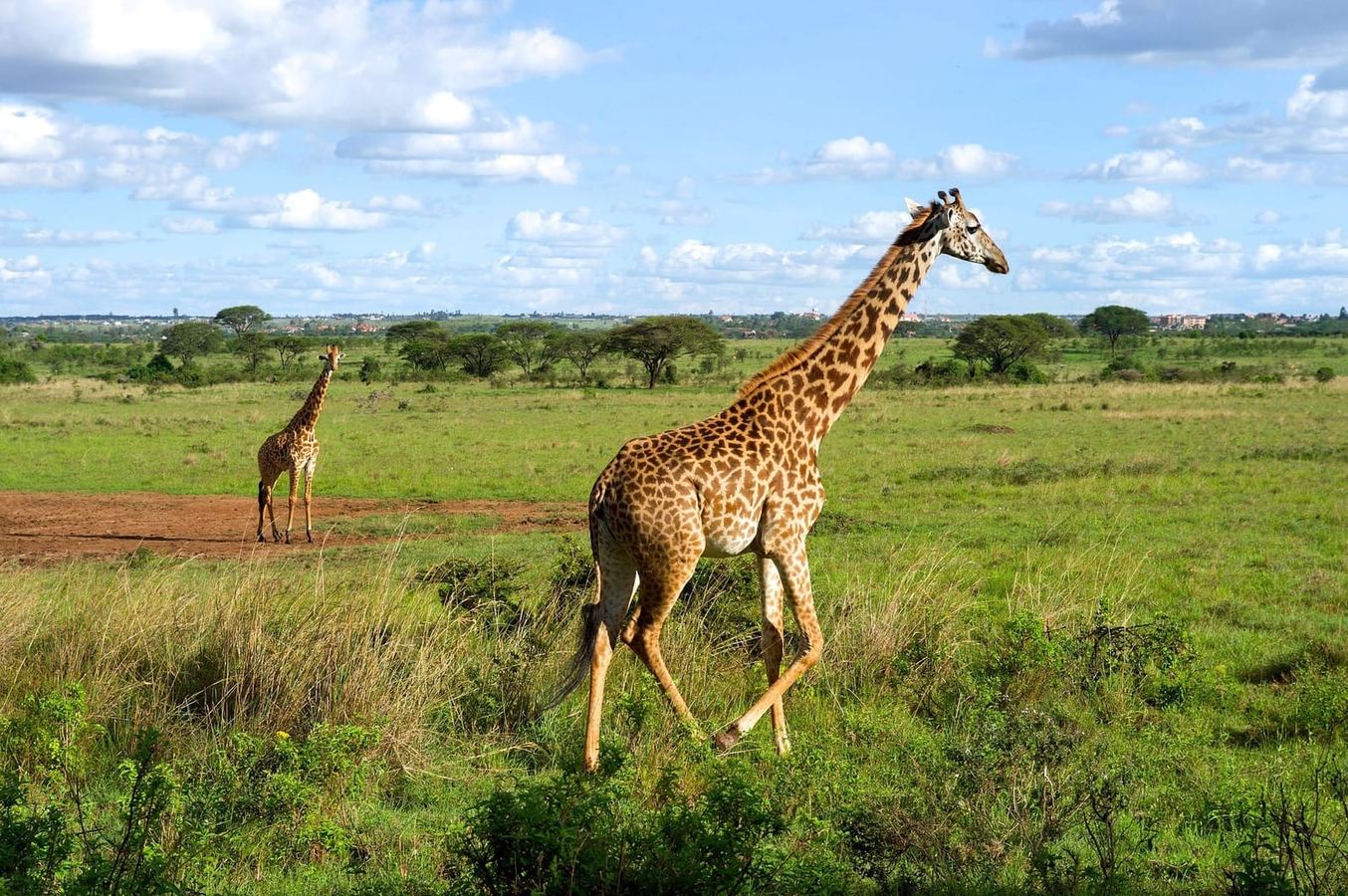 Nairobi, Kenya