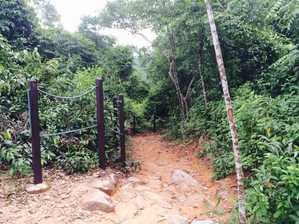 Singapore: Get Closer to Nature: photo 12