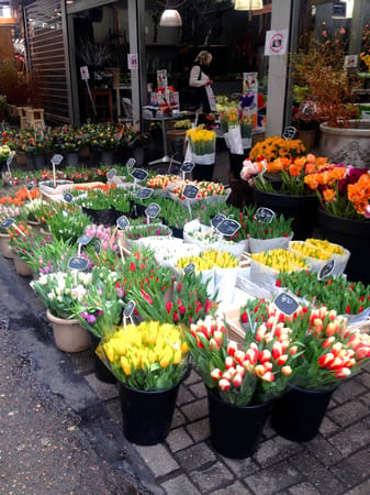 Amsterdam on a Budget: photo 2