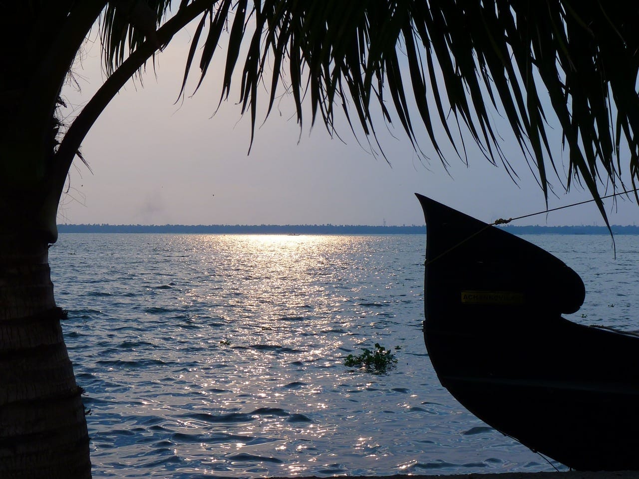 Come Lets Experience Kumarakom Backwater Destination