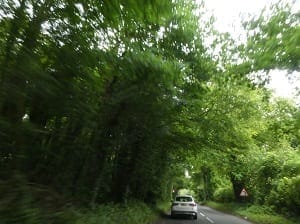North Norfolk: A postage stamp view; culture, beauty & diversity: photo 16
