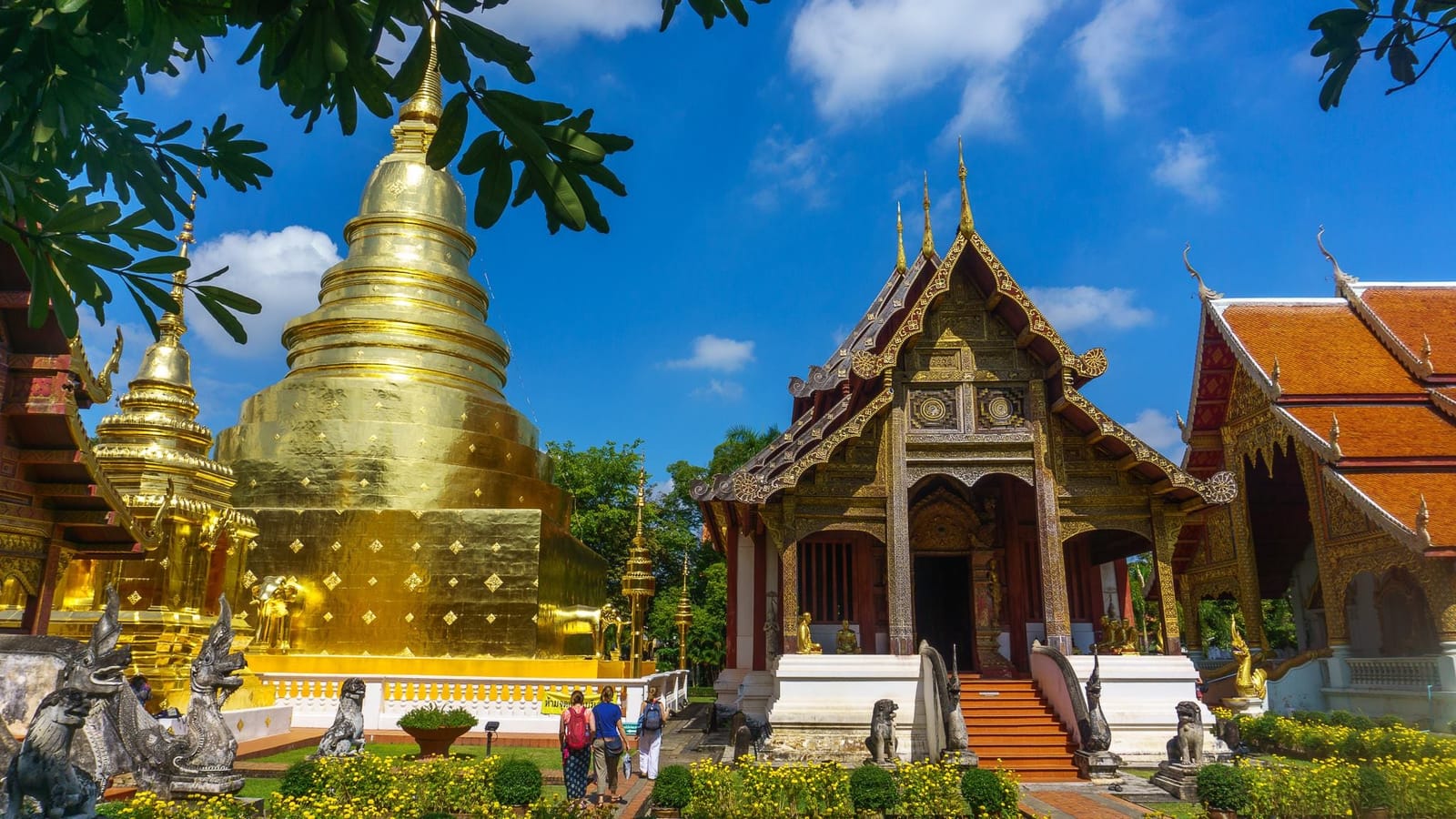 5 cool things to do in Chiang Mai.