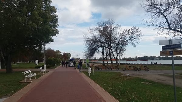 Lake Palic: Wonderful place for your holiday in Serbia: photo 2