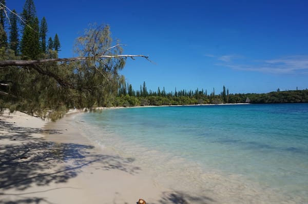 Isle of the Pines in New Caledonia - French paradise: photo 1