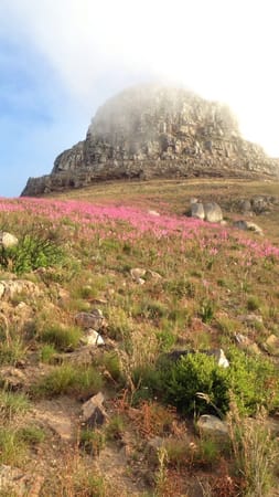 Cape Town: Your Future Home: photo 3