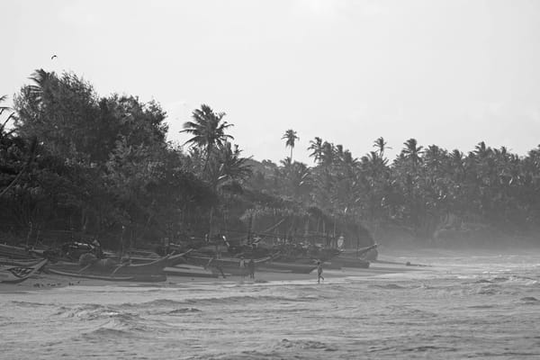 THE TRUTH ABOUT LOW SEASON IN THE SOUTH OF SRI LANKA: photo 4
