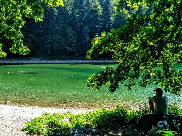 Travel Guide to Biogradska Gora National Park: photo 5