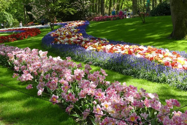 Leiden: The Netherlands little known treasure: photo 14