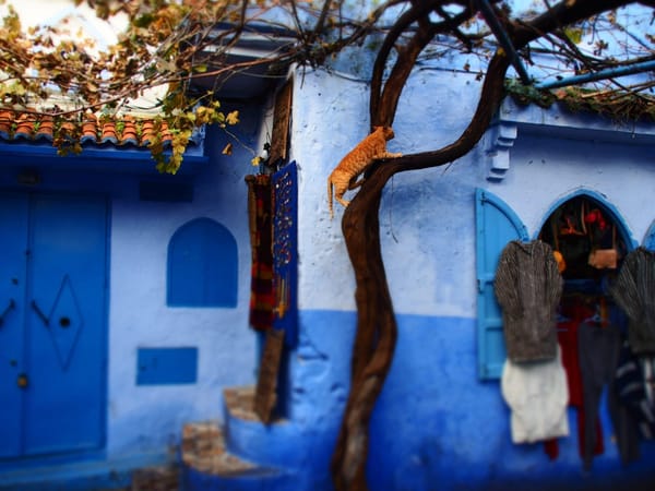 Chefchaouen - The Blue Pearl of Morocco: photo 1