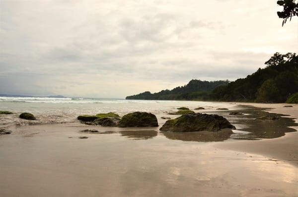 Andaman Islands: Pearls in a sea of blue: photo 3
