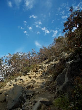 Cerro La Campana- Chile: photo 2