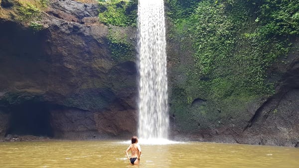 Things to do in Ubud, Bali, Indonesia: photo 6
