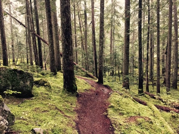 Whistler, British Columbia - Not Just For Riders: photo 10
