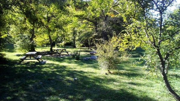 Crikvenica, a local’s guide: photo 2