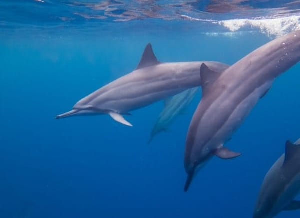 The Big Island, Hawaii: 6 dreamy locations: photo 4