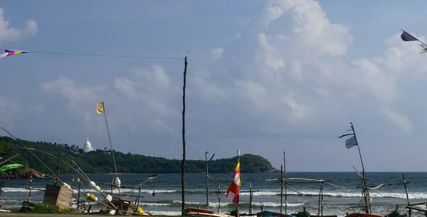 Sri Lanka South: Where To Eat Vegan, Chinese & More: photo 1