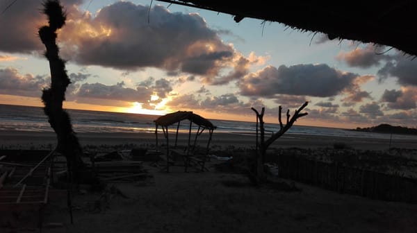 All you need to know about Tofo, Mozambique: photo 2