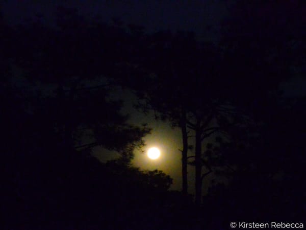 Off the Beaten Track in Thailand: Phu Kradeung National Park: photo 6