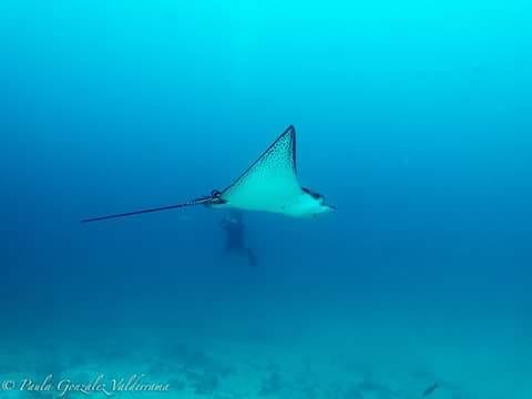 A Beautiful Paradise: The Galapagos Islands: photo 4