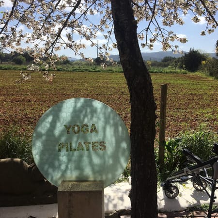 A Guide to Atzaro Spring Festival in Ibiza, Spain: photo 4