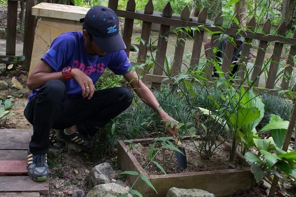Kuala Gandah, Pahang: Awareness and Affection for Elephants: photo 2