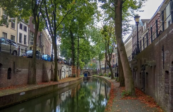 Top 5 cities to visit in the Netherlands: photo 22