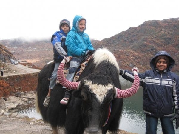 Sikkim : Breathtaking sights, Trekking and Flowers: photo 3
