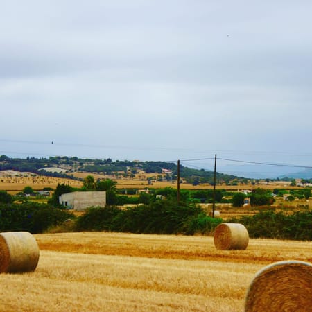 ‘Road tripping Mallorca, Europe’s paradise island’: photo 2