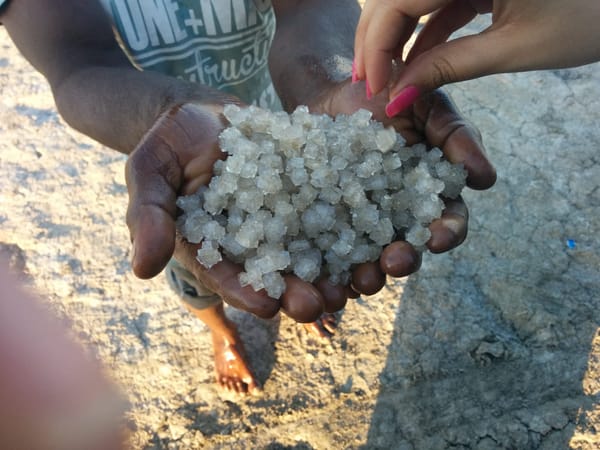 Little Rann of Kutch: Gujarat: photo 4
