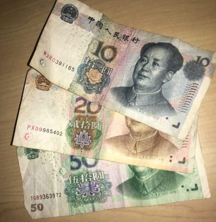 A Foreigner's Guide to Surviving in China: photo 1